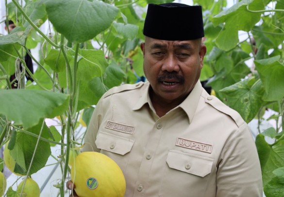 Bupati Kukar saat panen melon di Desa Rapak Lambur Kecamatan Tenggarong,