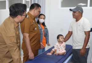 Bupati dan wakil
