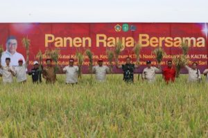 Panen raya
