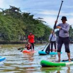paddleboard