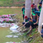 Tebar ikan