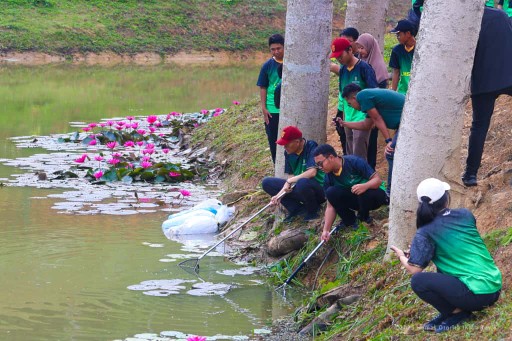 Tebar ikan