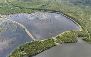 Kawasan Delta Mahakam, (Foto: Ist/ Koleksi M4CR/ Annisa Ni'matul R)