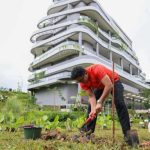 Penanaman bibit pohon di IKN