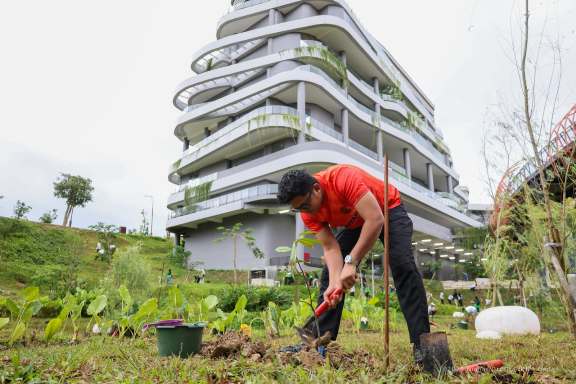 Penanaman bibit pohon di IKN