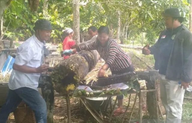 Membuat gula tebu