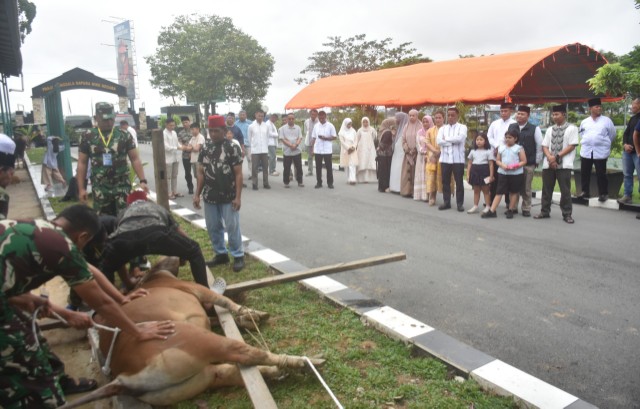 Penyembelihan sapi
