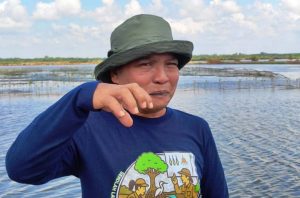 Ketua Kelompok Masyarakat (Pokmas) Gemilang, Asharuddin, menunjukkan hasil budidaya tambak silvofishery yang ditanami mangrove di Desa Sepatin. (wartaikn.com/Ary)